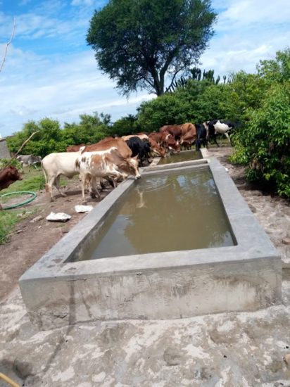 Rotary Clubs deliver remarkable CLEAN WATER project to the Narok community